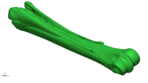 Organic 3D Scanning